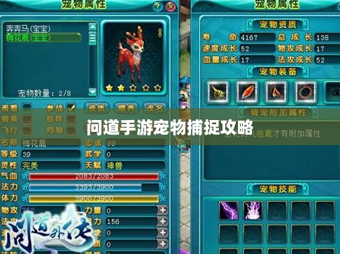 问道手游宠物捕捉攻略，轻松掌握捕捉技巧全解析-图1