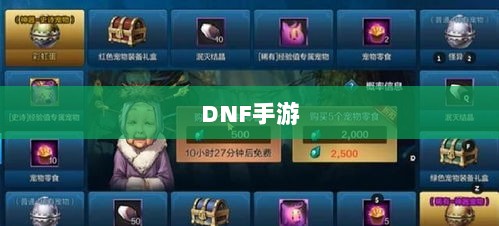 DNF手游，是否可以代练的探讨与解析-图1