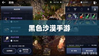 黑色沙漠手游，深度体验与客观评价综述-图1