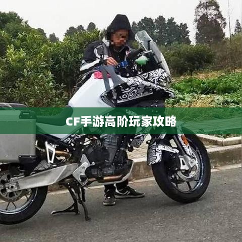 CF手游高阶玩家深度解析攻略-图1