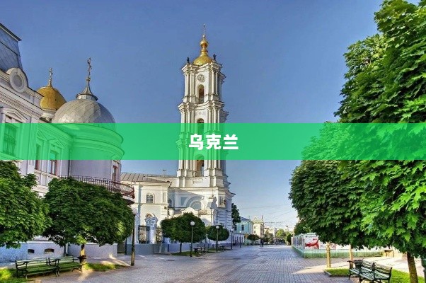 美国新矿产协议引发关注，泽连斯基表态不受军事支持债务束缚，乌军成功击退俄军进攻-图1