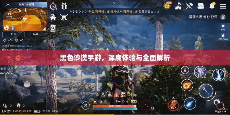 黑色沙漠手游，深度体验与全面解析-图1