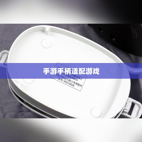 手游手柄适配游戏精选,打造极致游戏体验-图1 手游手柄适配游戏精选,打造极致游戏体验-图1