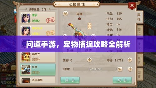 问道手游,宠物捕捉攻略全解析-图1 问道手游,宠物捕捉攻略全解析-图1