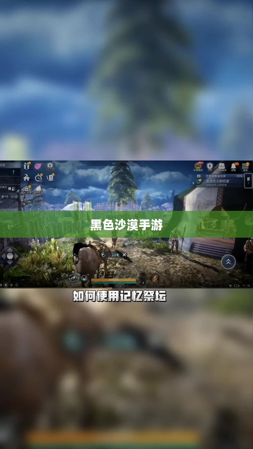 黑色沙漠手游，深度体验与全面解析-图1