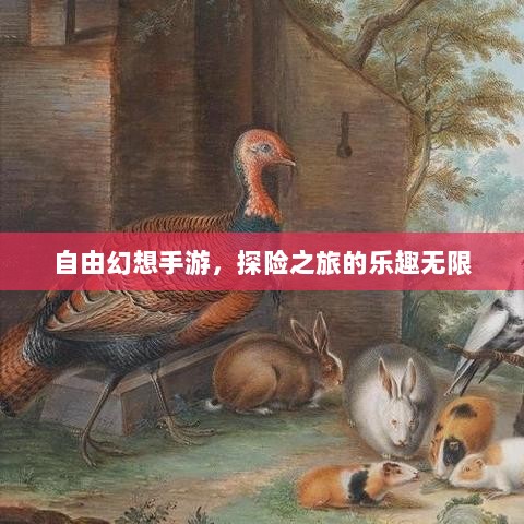自由幻想手游，探险之旅的乐趣无限-图1