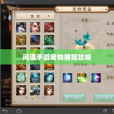 问道手游，宠物捕捉攻略，轻松掌握抓宠秘籍-图1