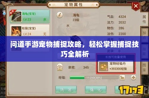 问道手游宠物捕捉攻略，轻松掌握捕捉技巧全解析-图1