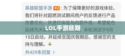 LOL手游延期深度探究，背后的原因与解析-图1
