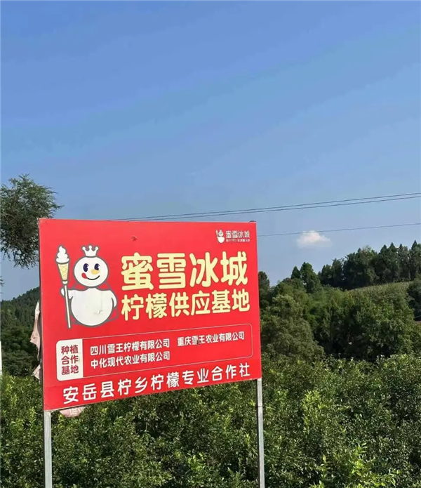 霸王茶姬快速制茶赚钱秘籍,8秒一杯奶茶!-图5 霸王茶姬快速制茶赚钱秘籍,8秒一杯奶茶!-图5