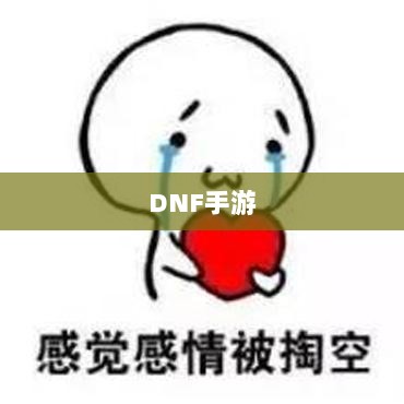 DNF手游，是否可以代练的探讨与解析-图1