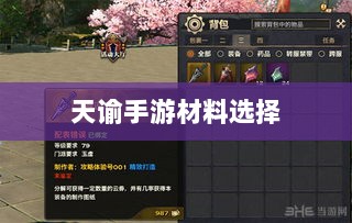 天谕手游材料选择攻略，哪些材料更具优势？全面解析！-图1