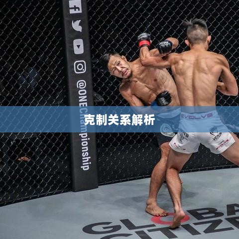 传奇手游职业相克解析,探究各职业间的克制关系之道-图1 传奇手游职业相克解析,探究各职业间的克制关系之道-图1