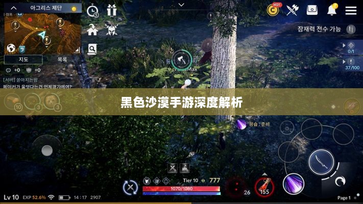 黑色沙漠手游深度解析,游戏体验、坑点探讨-图1 黑色沙漠手游深度解析,游戏体验、坑点探讨-图1