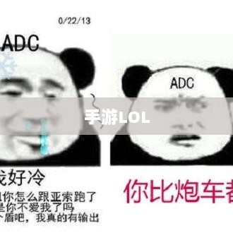 手游LOL,如何利用辅助APP提升游戏体验的选择与使用指南-图1 手游LOL,如何利用辅助APP提升游戏体验的选择与使用指南-图1