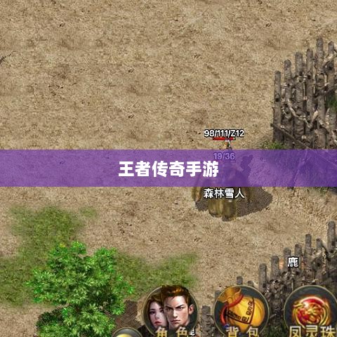 王者传奇手游,丰富多样的任务体验-图1 王者传奇手游,丰富多样的任务体验-图1