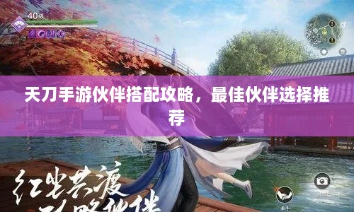 天刀手游伙伴搭配攻略,最佳伙伴选择推荐-图1 天刀手游伙伴搭配攻略,最佳伙伴选择推荐-图1