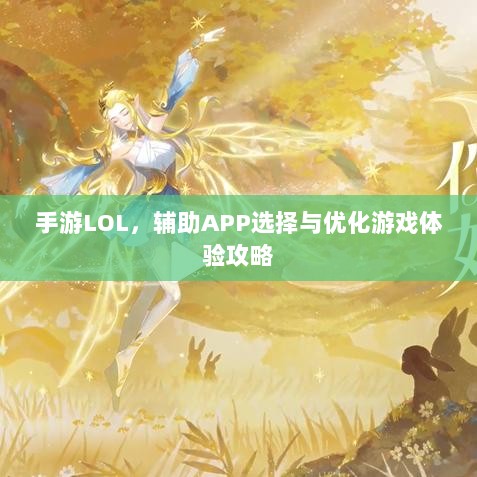 手游LOL，辅助APP选择与优化游戏体验攻略-图1