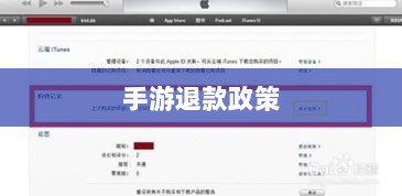 关于手游退款政策的探讨，官方回应问道手游是否可以退款-图1