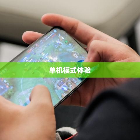 王者手游单机模式体验分享-图1