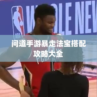 问道手游暴走法宝搭配攻略大全-图1 问道手游暴走法宝搭配攻略大全-图1