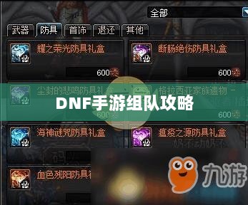 DNF手游混团攻略,如何轻松组队?-图1 DNF手游混团攻略,如何轻松组队?-图1