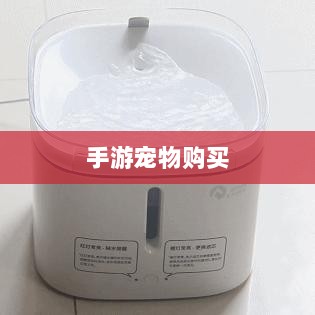 手游宠物购买与体验,开启游戏乐趣新维度-图1 手游宠物购买与体验,开启游戏乐趣新维度-图1