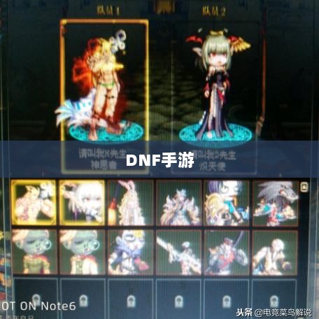 DNF手游，是否可以代练的探讨与解析-图1