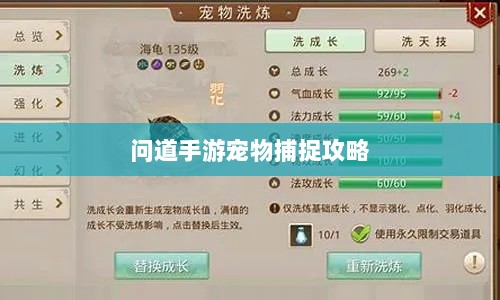 问道手游宠物捕捉攻略，轻松掌握捕捉技巧全解析-图1