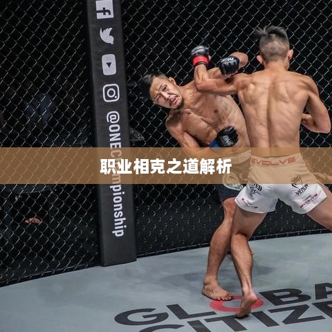 传奇手游职业相克之道解析-图1 传奇手游职业相克之道解析-图1