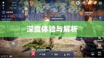 黑色沙漠手游，深度体验与全面解析-图1
