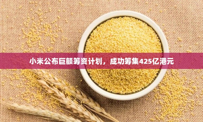 小米公布巨额筹资计划,成功筹集425亿港元-图1 小米公布巨额筹资计划,成功筹集425亿港元-图1