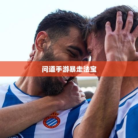 问道手游暴走法宝指南，最佳法宝搭配选择攻略-图1