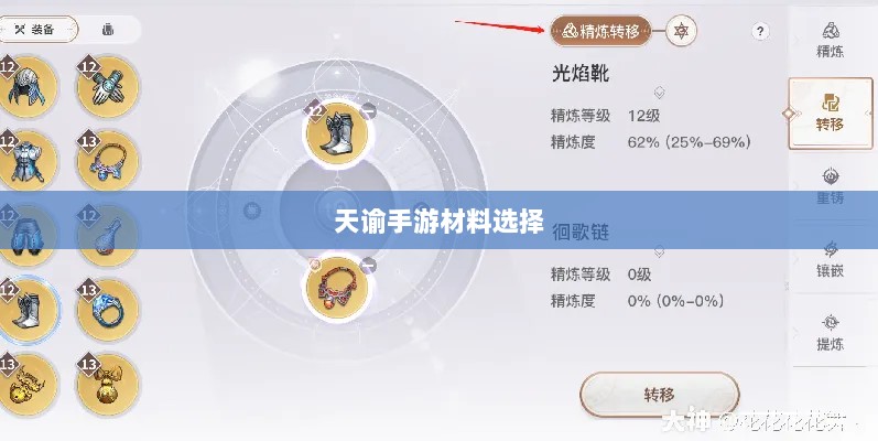 天谕手游材料选择攻略，哪些材料更具优势？全面解析！-图1