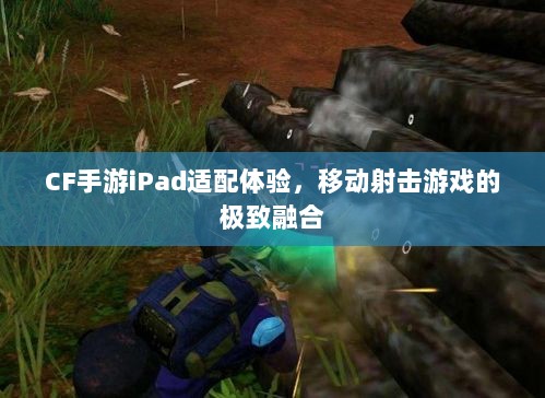 CF手游iPad适配体验，移动射击游戏的极致融合-图1