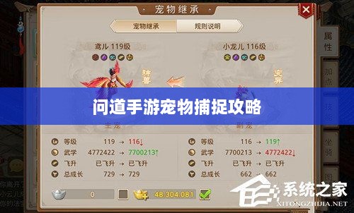 问道手游宠物捕捉攻略，轻松掌握捕捉技巧全解析-图1