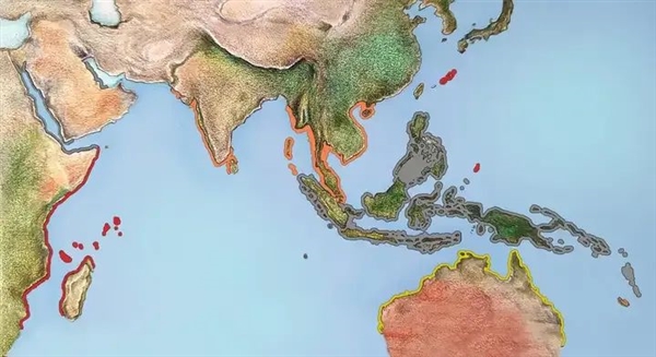 中国台湾渔民捕捞到罕见儒艮,功能性灭绝后的重现?-图3 中国台湾渔民捕捞到罕见儒艮,功能性灭绝后的重现?-图3