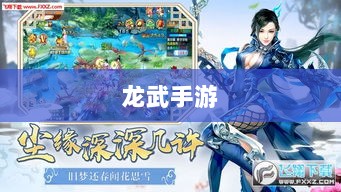 深度解析，龙武手游的成功存活之道-图1