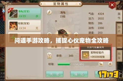 问道手游攻略，捕捉心仪宠物全攻略-图1