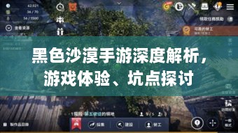 黑色沙漠手游深度解析，游戏体验、坑点探讨-图1