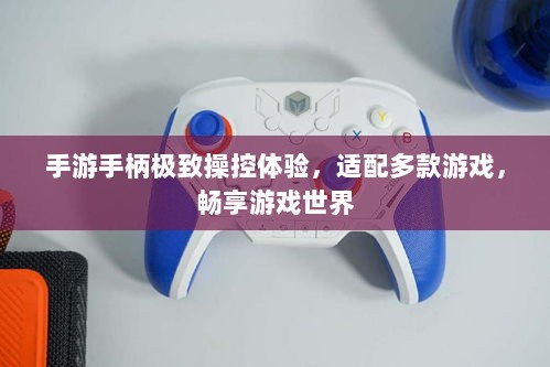 手游手柄极致操控体验,适配多款游戏,畅享游戏世界-图1 手游手柄极致操控体验,适配多款游戏,畅享游戏世界-图1