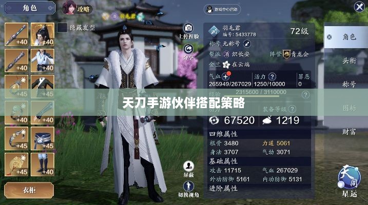 天刀手游伙伴搭配策略，角色选择与伙伴搭配的艺术之道-图1