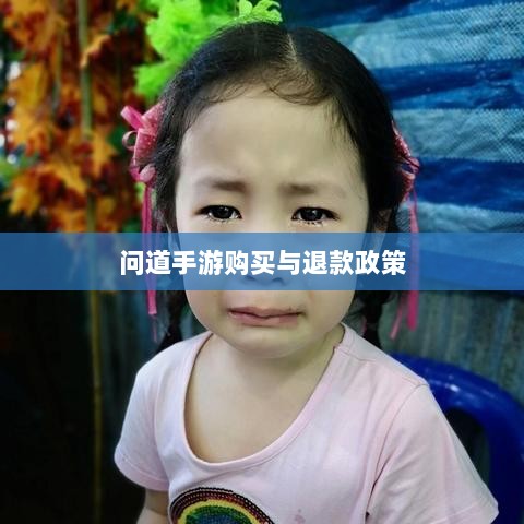 官方问道手游的购买与退款政策解读,能否退款?-图1 官方问道手游的购买与退款政策解读,能否退款?-图1
