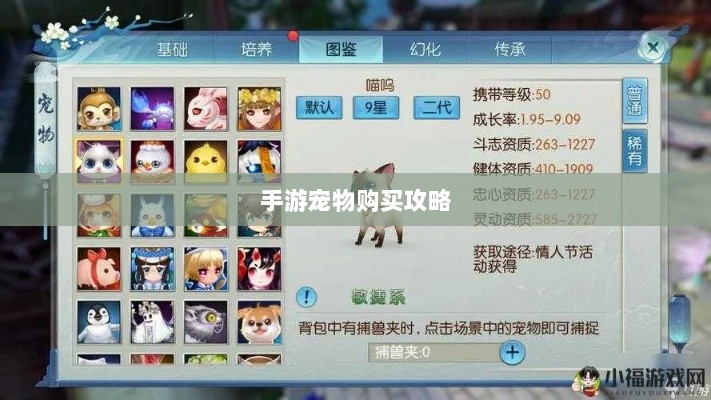 手游中宠物购买与体验攻略-图1