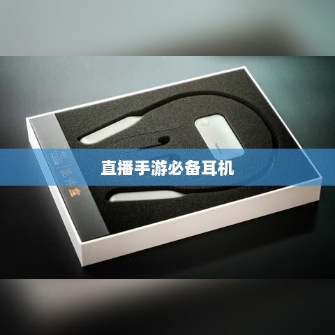 直播手游必备耳机选购全方位指南-图1 直播手游必备耳机选购全方位指南-图1