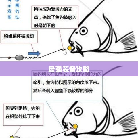 手游老鼠最强装备推荐攻略-图1