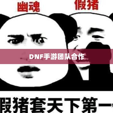 DNF手游团队合作解析,混团的重要性与挑战-图1 DNF手游团队合作解析,混团的重要性与挑战-图1
