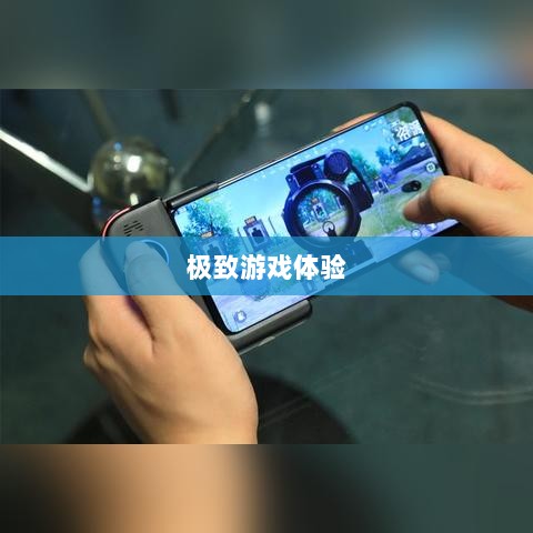 手游手柄适配游戏精选,打造极致游戏体验-图1 手游手柄适配游戏精选,打造极致游戏体验-图1