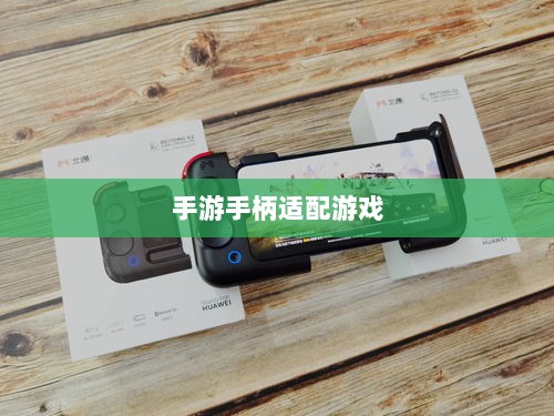 手游手柄适配游戏精选，打造极致游戏体验-图1