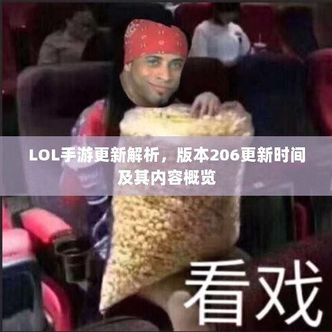 LOL手游更新解析，版本206更新时间及其内容概览-图1
